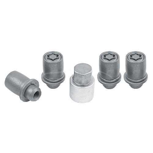 Set piulite antifurt roti SICUSTAR EN4AG6