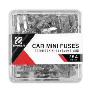 Set 100 sigurante fuzibile auto MAMMOOTH MMT O033 0025A/K100