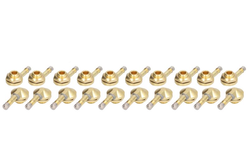 Set 20 valve anvelope PROFITOOL 0XVA V3.12.1