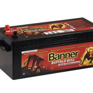 Baterie camioane BANNER Buffalo Bull SHD Professional 725 03