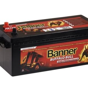 Baterie camion BANNER Buffalo Bull SHD PROfessional Y17 680 08