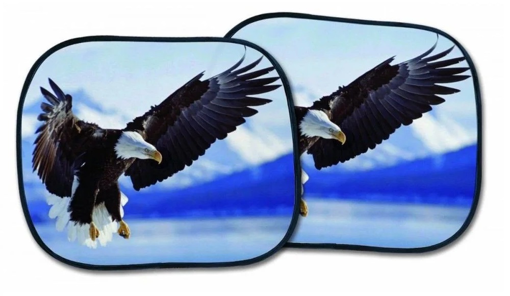 Set 2 parasolare auto laterale BOTTARI Eagle 22071BT